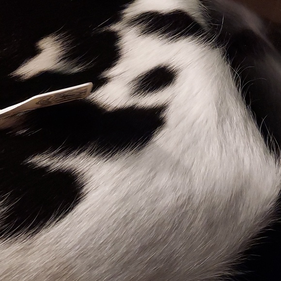 NEW Holy Cow Couture Prairie Tote - Picture 3 of 7